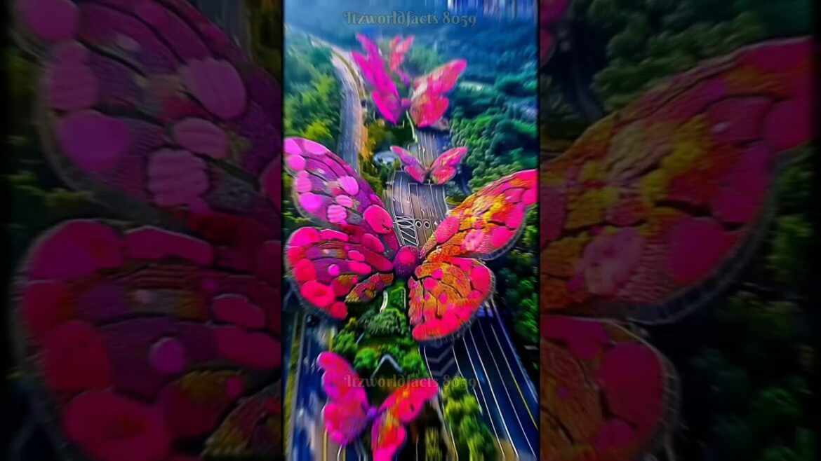 🍁Most beautiful places on the world #flowers #beautiful #explore #nature #shorts #trending #short 🍁Most beautiful places on the world #flowers #beautiful #explore #nature #shorts #trending #short