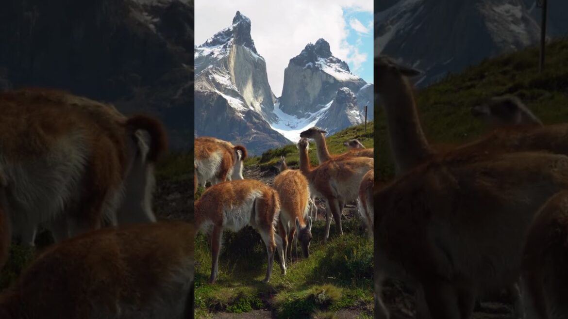 Places On Earth That Don’t Feel Real | Part: 25🤯 #travel #nature #adventure #shots Places On Earth That Don’t Feel Real | Part: 25🤯 #travel #nature #adventure #shots