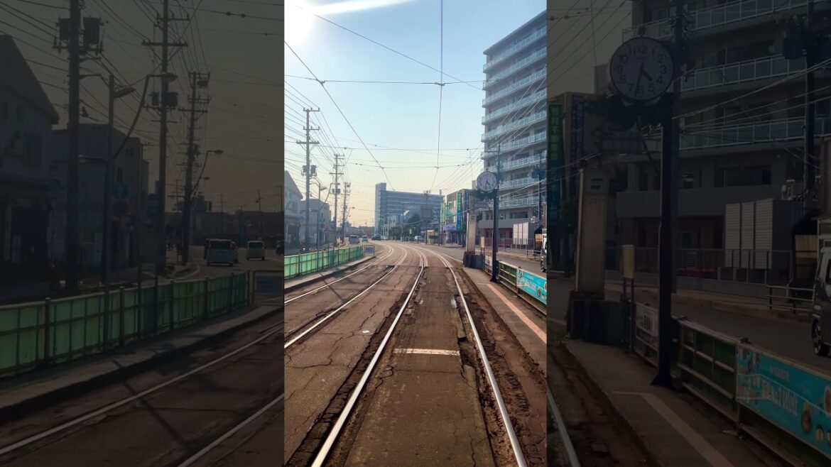 【函館】これ好きだよね?#Shorts 【函館】これ好きだよね?#Shorts