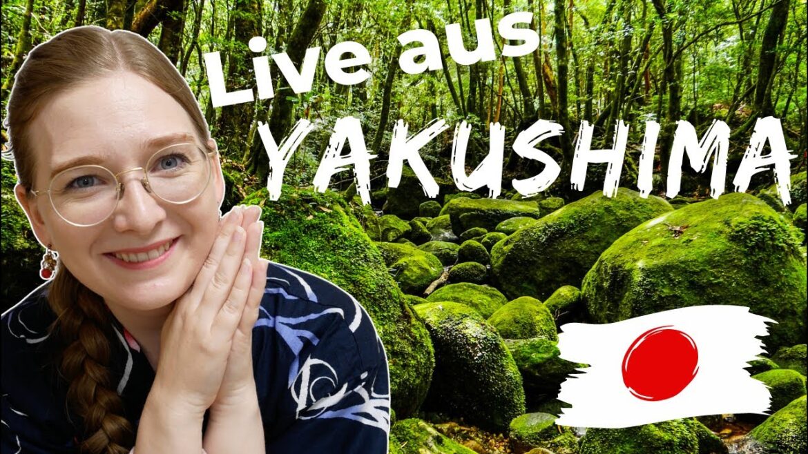 Live aus Yakushima