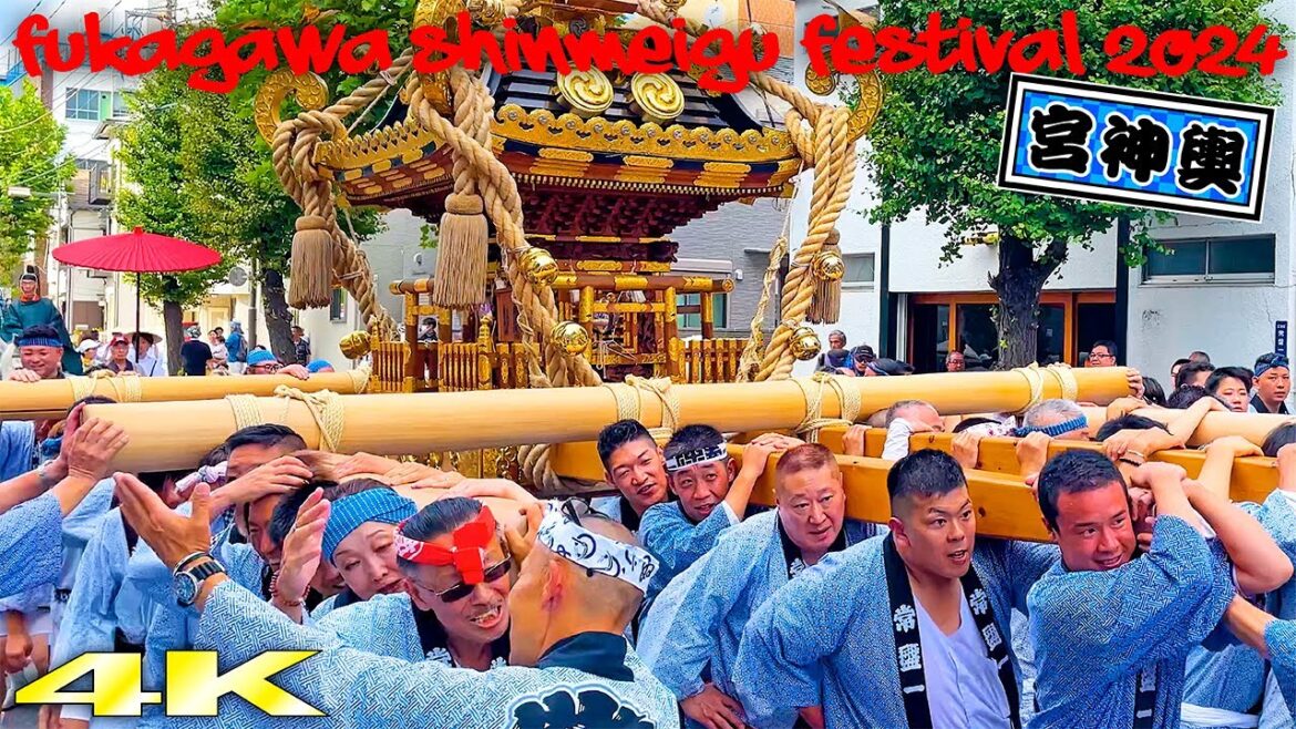 待ってました本祭り!深川神明宮例大祭 宮神輿巡幸 2024 Fukagawa Shinmeigu Festival  常盤1丁目スペシャル!日本の祭り 4K 待ってました本祭り!深川神明宮例大祭 宮神輿巡幸 2024 Fukagawa Shinmeigu Festival  常盤1丁目スペシャル!日本の祭り 4K