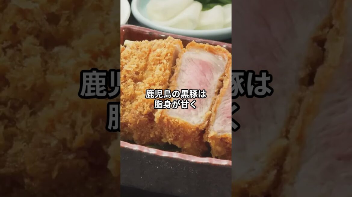 【孝ちゃんの旅行日記(Kochan's Travel Diary)】日本鹿児島県郷土料理と郷土玩具紹介!! #伝統工芸品 #グルメ #asiantravel #旅行  #japantravel