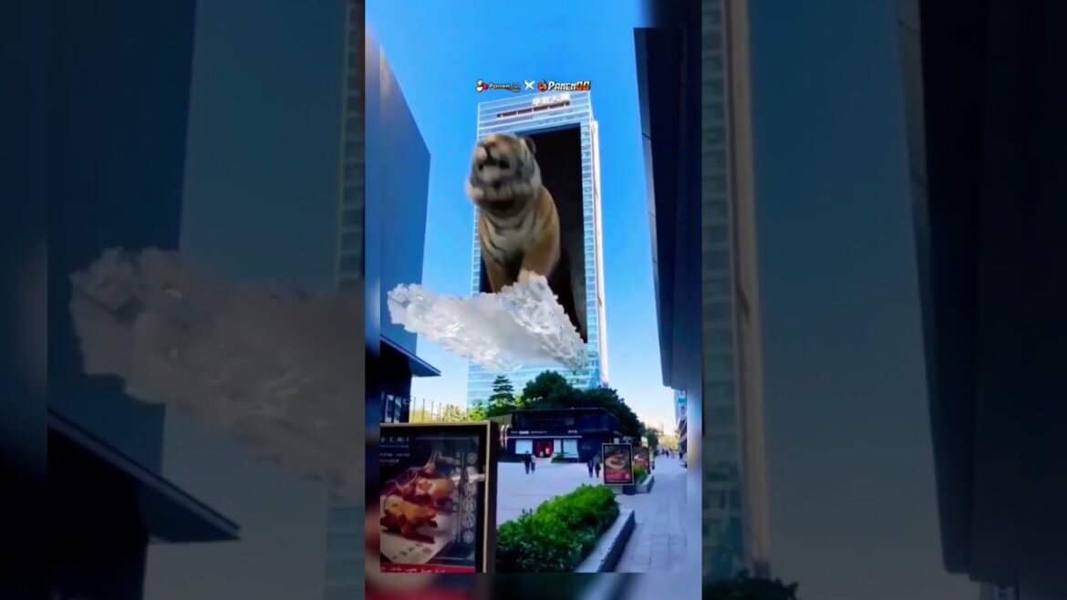 3D BillBoard Tiger #shorts#viral#videos 3D BillBoard Tiger #shorts#viral#videos