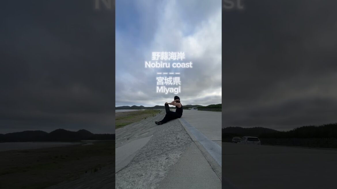 📍野蒜海岸　#shorts #旅行 #japan #観光 #miyagi #ビーチ #宮城