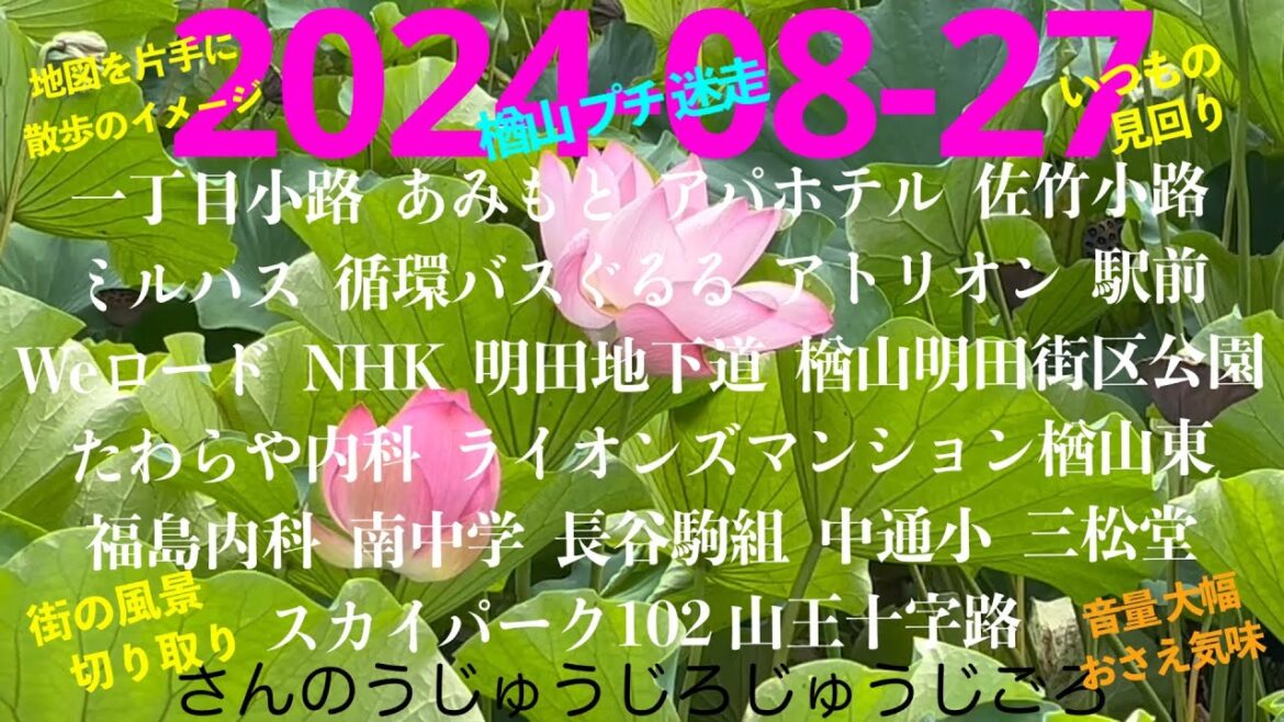 2024-08-27さんのうじゅうじろじゅうじごろ