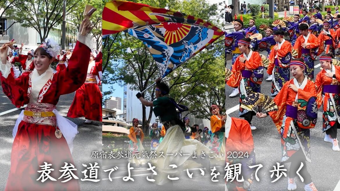 【4K】原宿表参道元氣祭スーパーよさこい 2024を観ながら歩く 【4K】原宿表参道元氣祭スーパーよさこい 2024を観ながら歩く