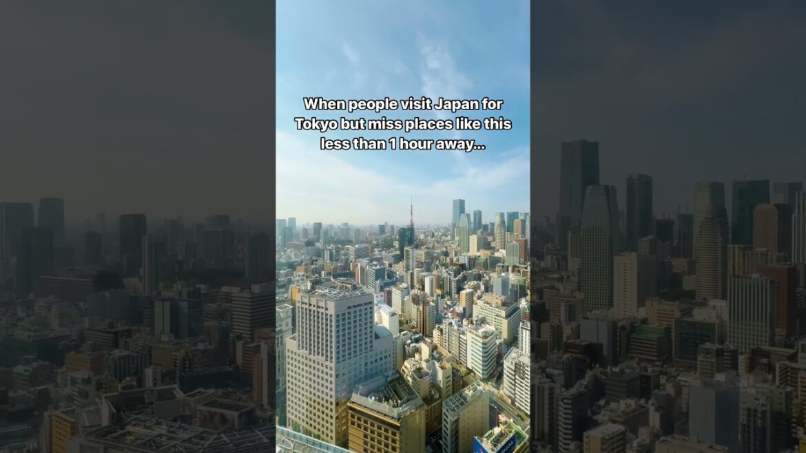 This Prefecture is Japan's Best Kept Secret 🤫