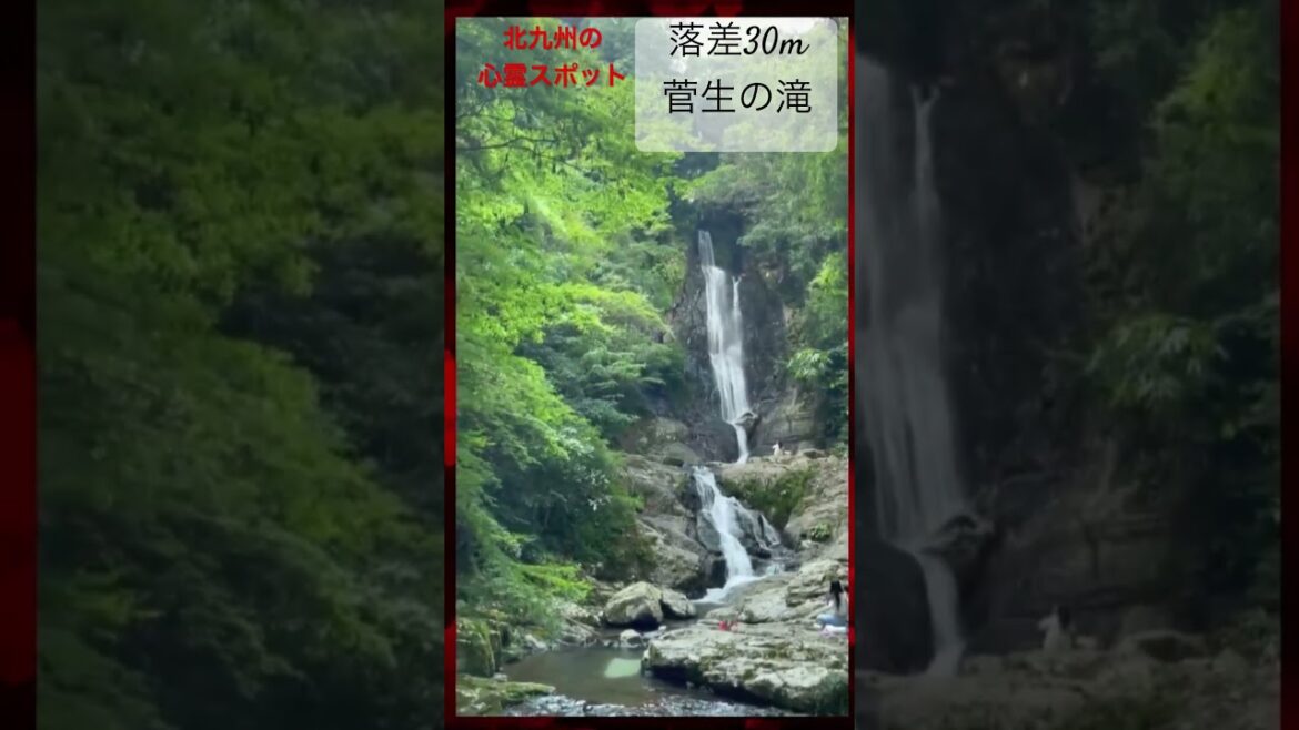 北九州の心霊スポット、菅生の滝　#心霊 #travel #nature #心霊スポット  #旅行 #観光 #心霊体験 #怖い
