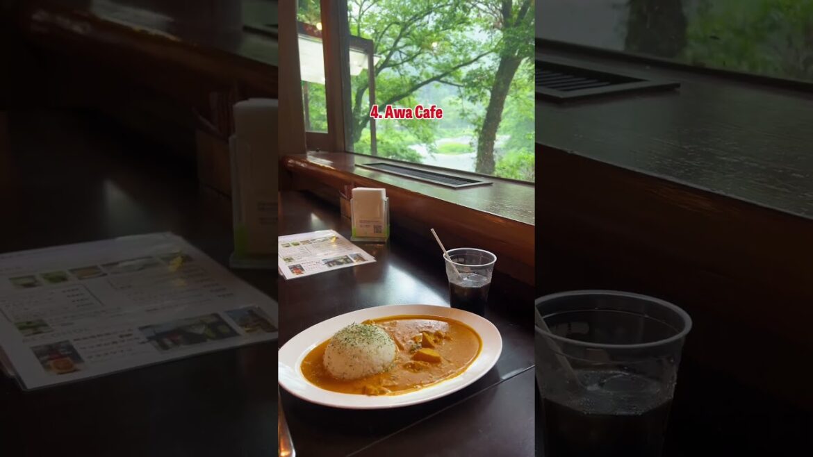 Heard of this Tokyo day trip? #travel #okutama Heard of this Tokyo day trip? #travel #okutama