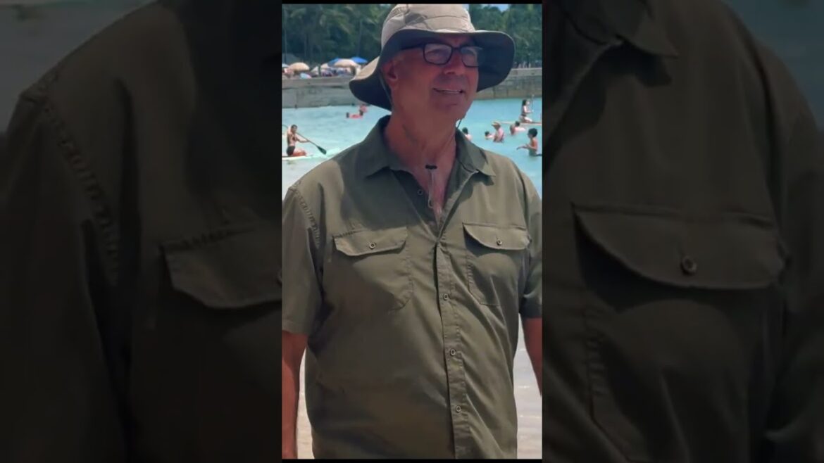 Kaimana Beach Park #shorts #beach