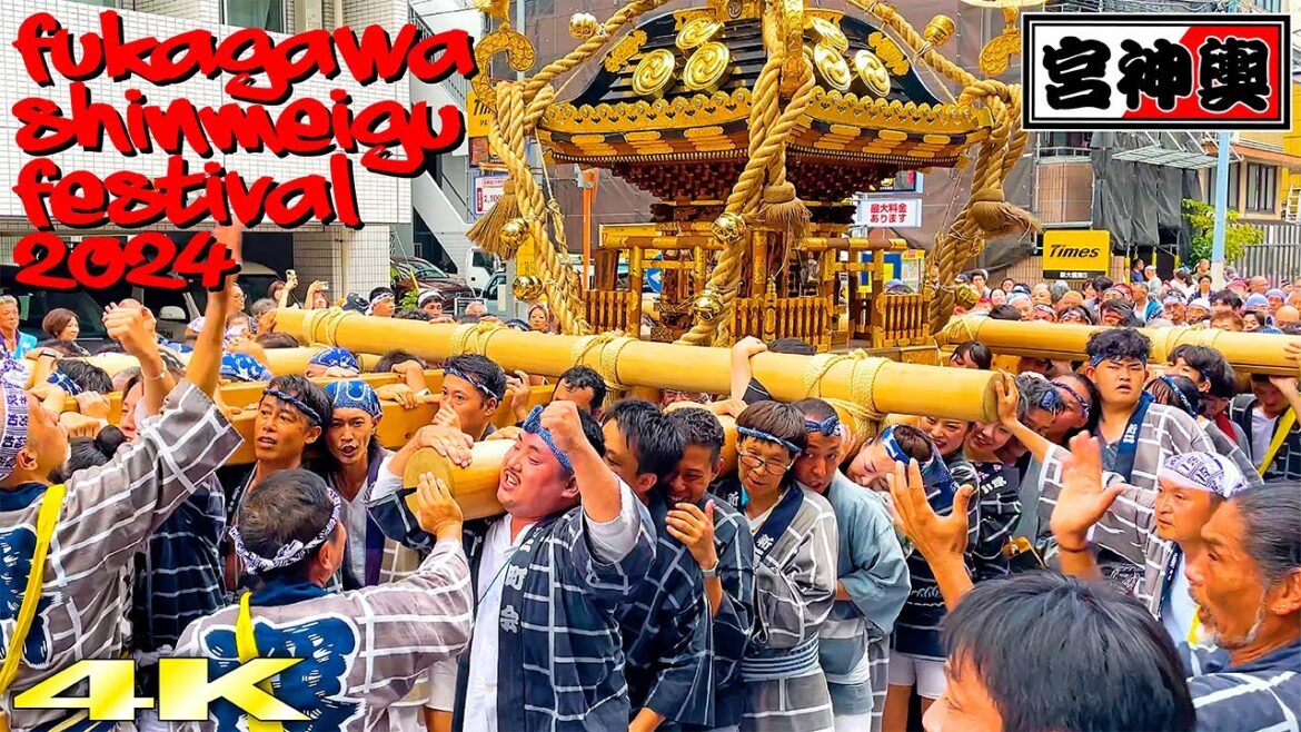 わっしょい!まえまえ! 深川神明宮例大祭 宮神輿巡幸 2024 Fukagawa Shinmeigu Festival 新大橋2丁目スペシャル!日本の祭り 4K わっしょい!まえまえ! 深川神明宮例大祭 宮神輿巡幸 2024 Fukagawa Shinmeigu Festival 新大橋2丁目スペシャル!日本の祭り 4K