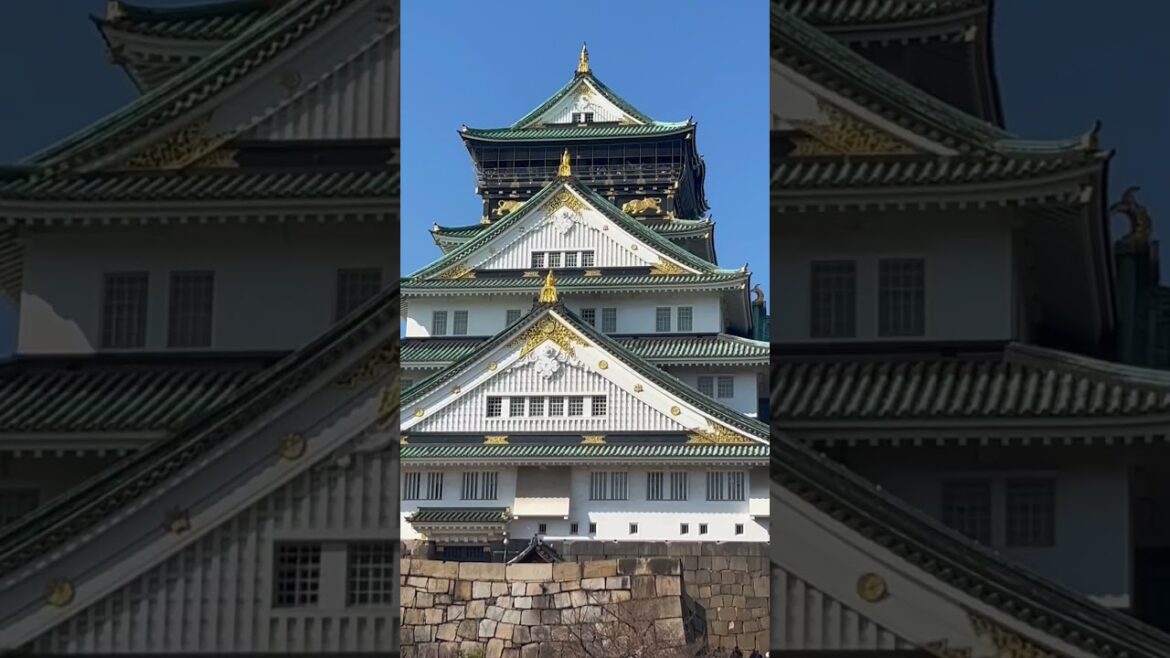 OSAKA CASTLE #osaka #promisegopali #music #trending #shorts