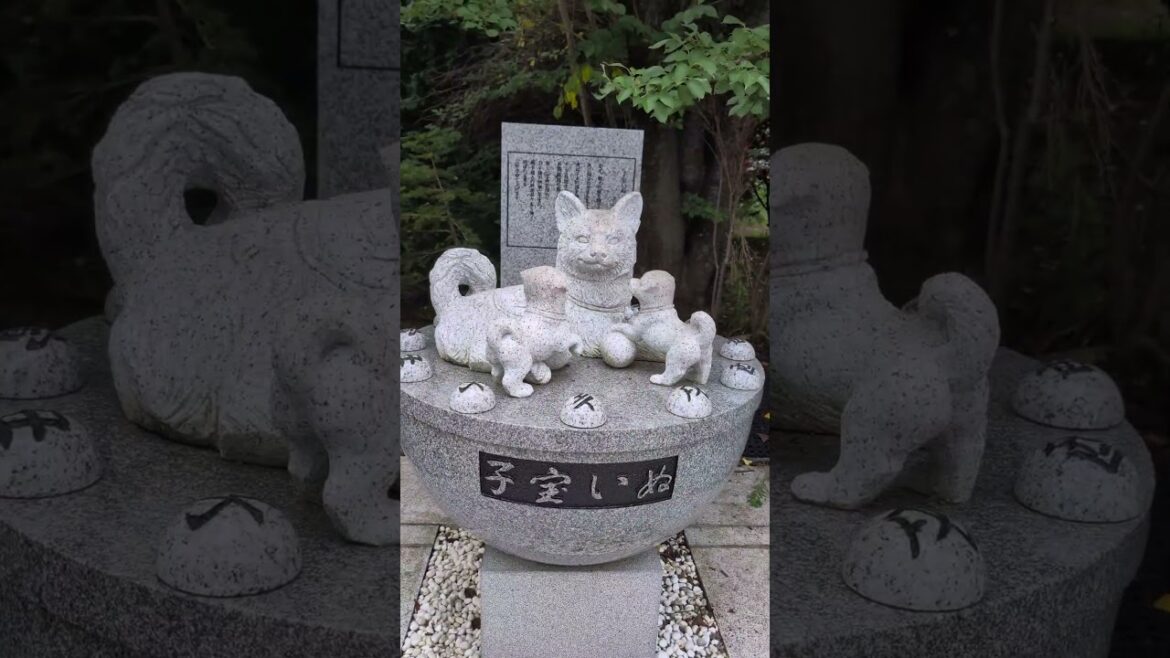 A quick day-trip to Otaru, the Venice of Japan!