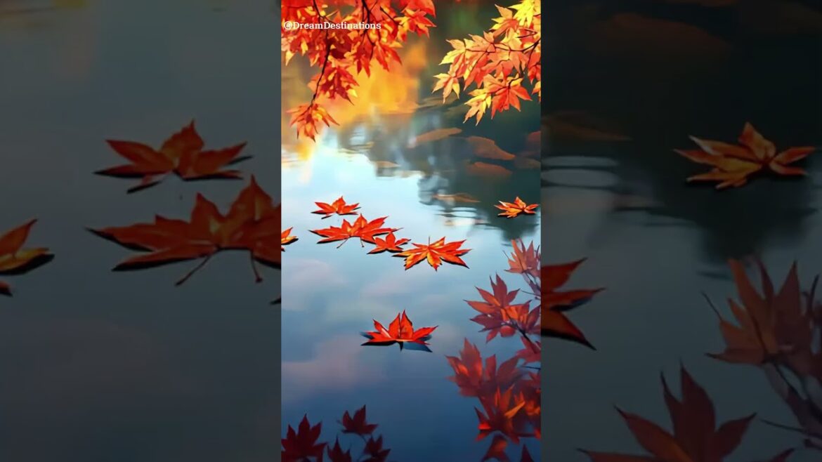 10 Stunning Places in Japan to Experience Autumn - p1 🍁#shorts #travel