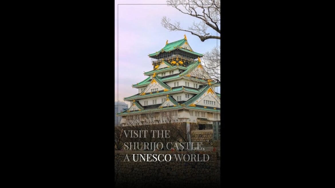 Discover Okinawa: Japan's Island Paradise