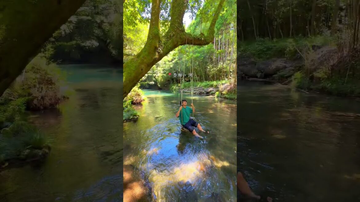 【鹿児島観光】トップレベルに綺麗な川6選#shorts 【鹿児島観光】トップレベルに綺麗な川6選#shorts