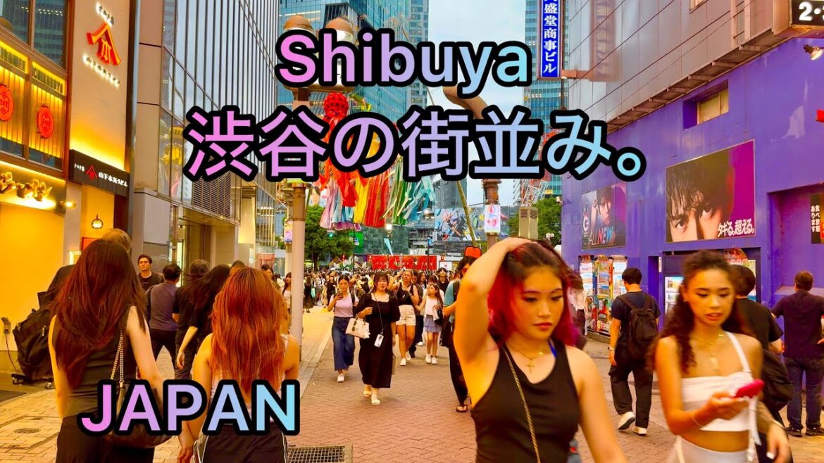 Evening Walking  tour in  Shibuya. Tokyo , Japan. August