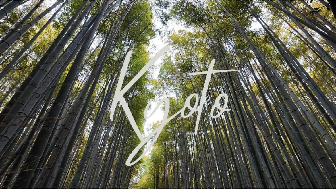 Kyoto Travel Vlog / My first solo travel / Day 3