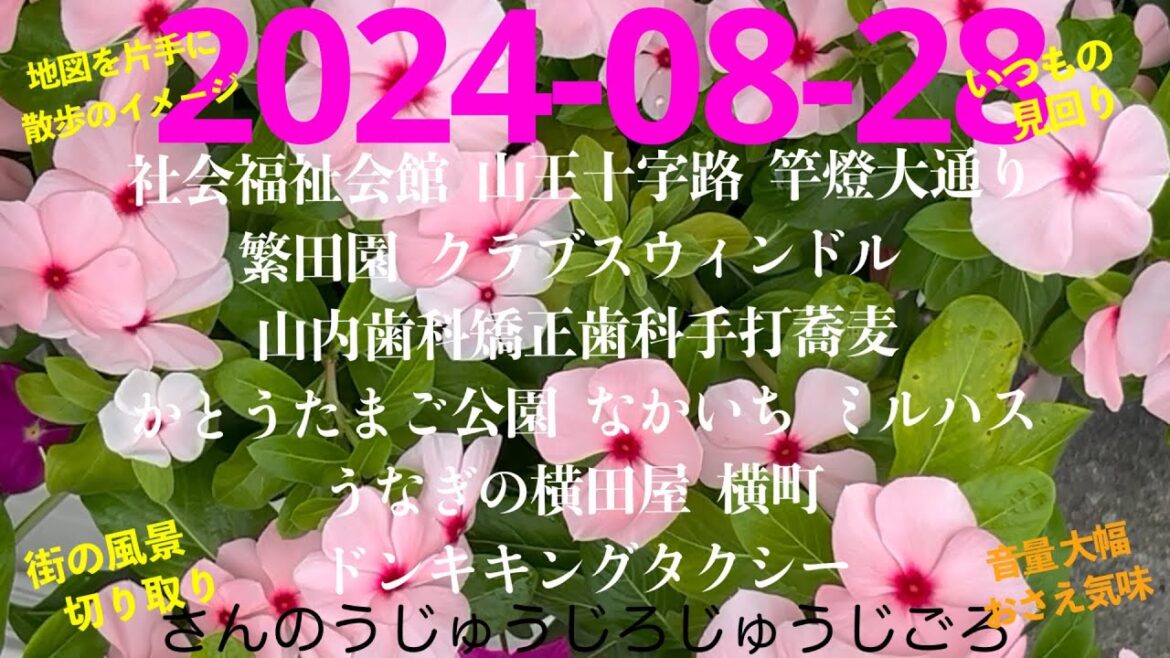 2024-08-28さんのうじゅうじろじゅうじごろ