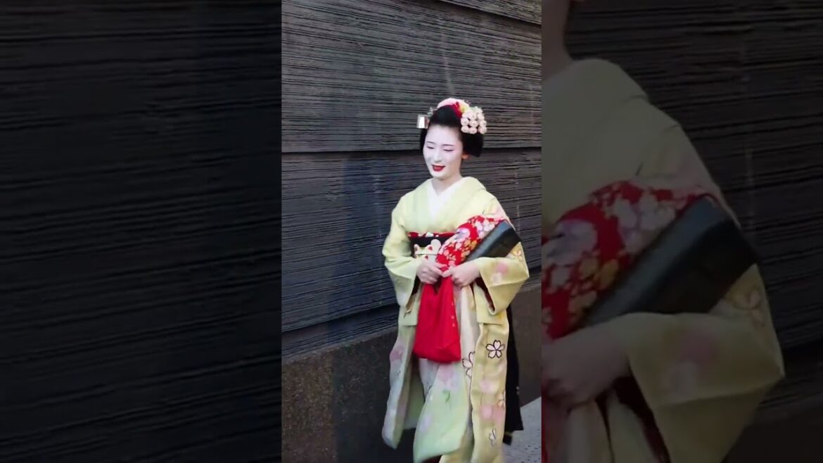 Geisha spotting in Gion (祇園) Kyoto | Japan #shorts #geisha #geiko #kyoto #japan #gion #japantravel Geisha spotting in Gion (祇園) Kyoto | Japan #shorts #geisha #geiko #kyoto #japan #gion #japantravel