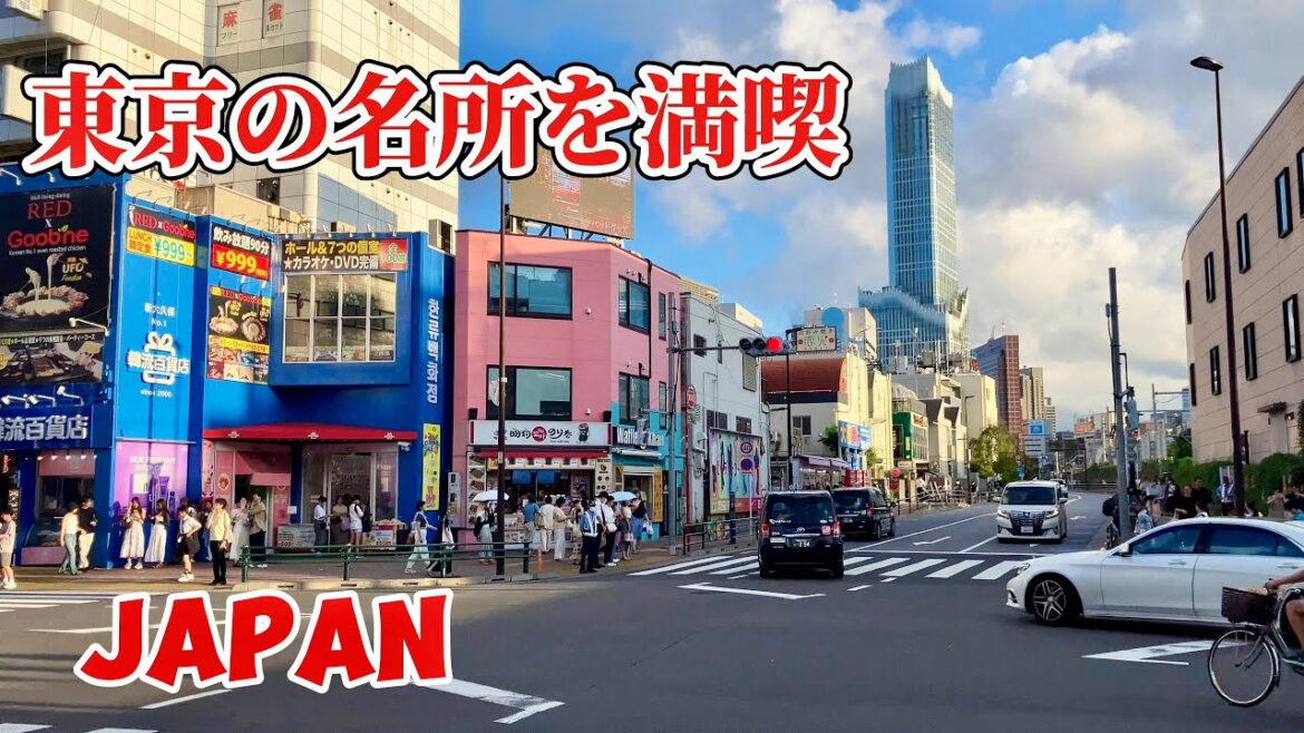 Takadanobaba (高田馬場) to Shin-Okubo || Shinjuku City Walking Tour || TOKYO, JAPAN 4K HDR ||