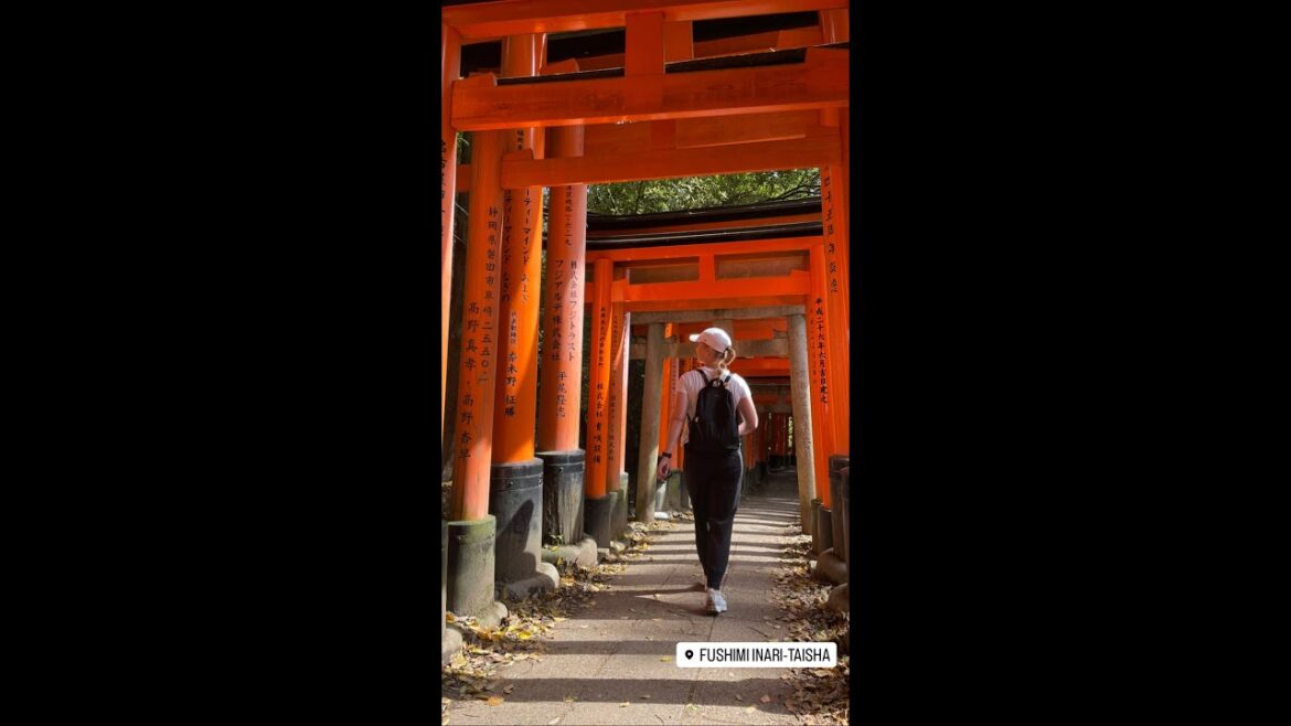 Unwind in Japan's Relaxing Vibes