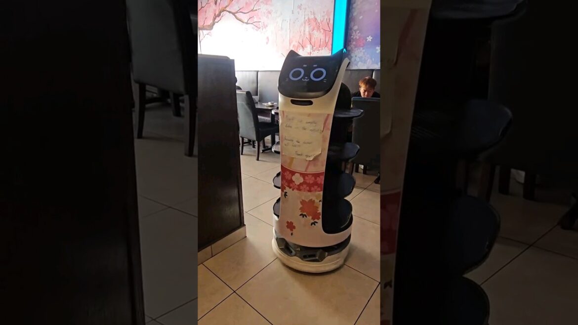 Our cute cat robot server at Hokkaido Sushi Restaurant #shorts