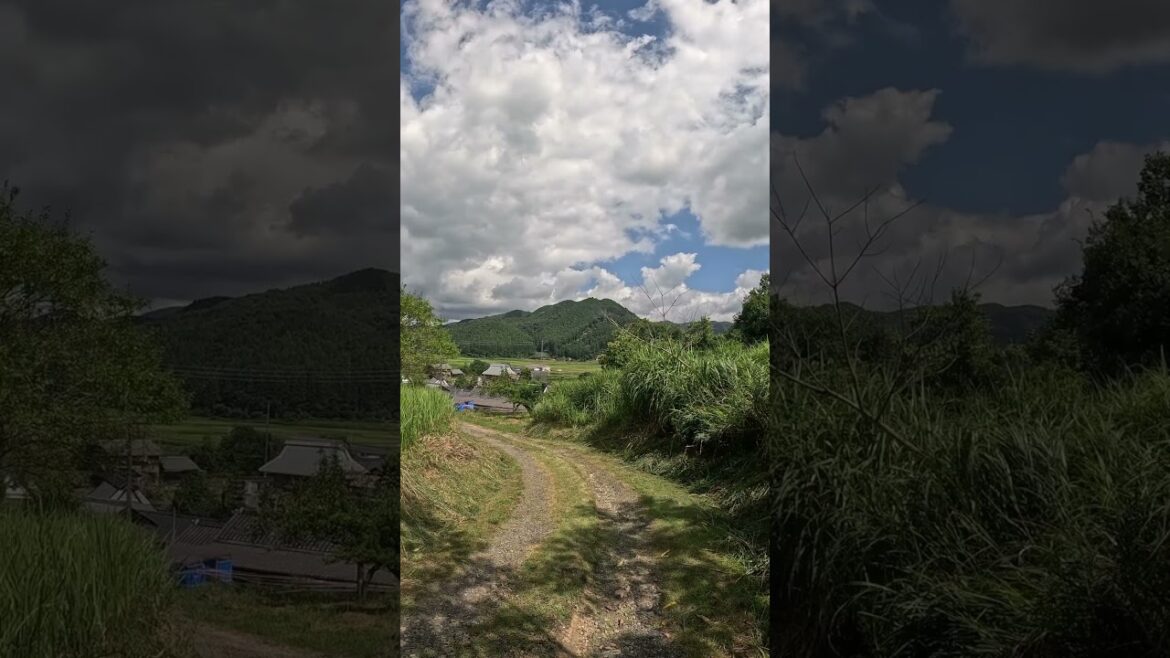 【KYOTO】Traditional Summer View - Kyoto Ayabe