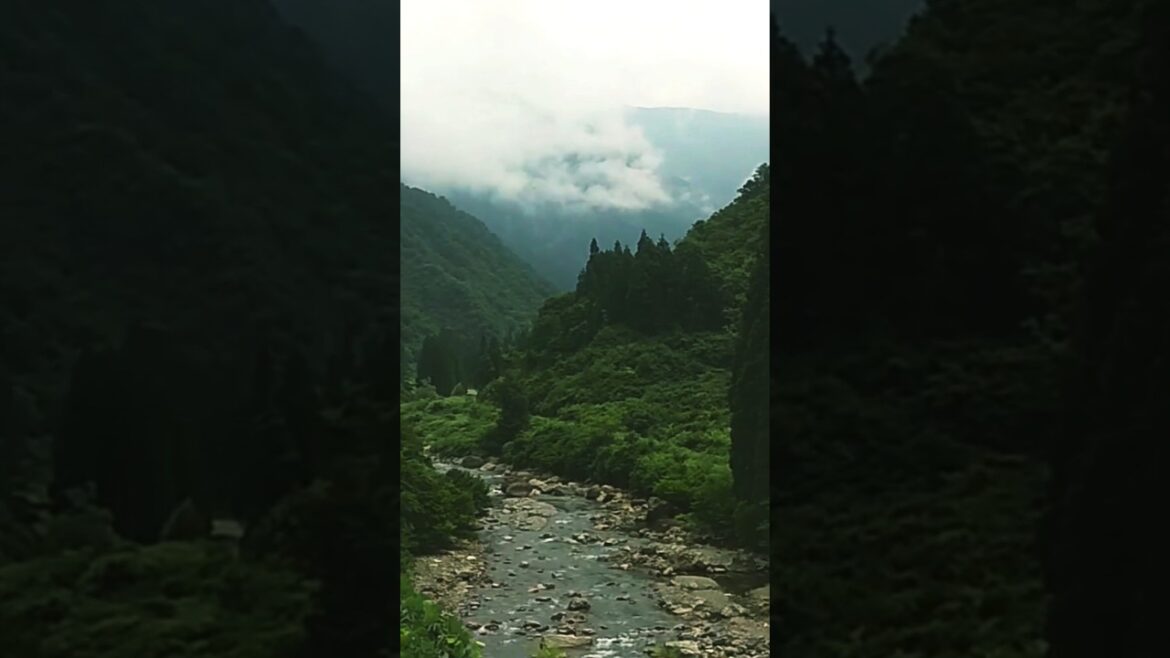 Cycling in Mountain Road #japan #travel