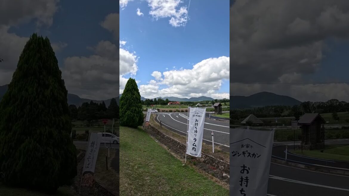 【JAPAN】Must-See Tourist Attraction - Okayama Daisen