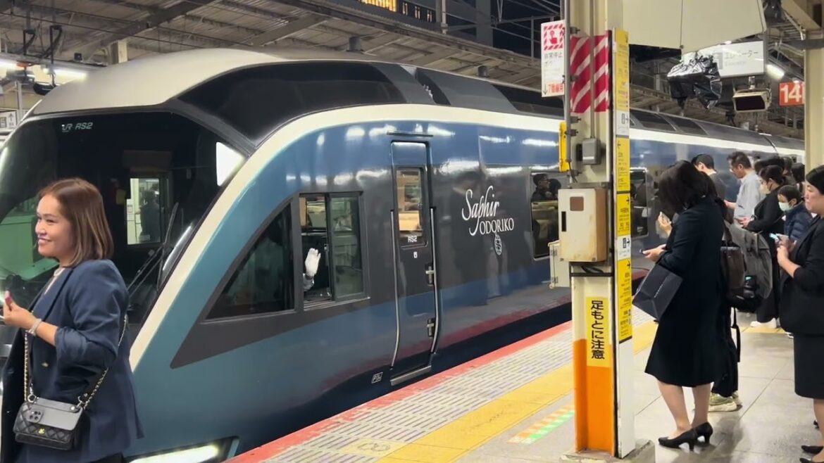 "Tokyo Train rides and sights" A Visual Postcards from Japan 🇯🇵