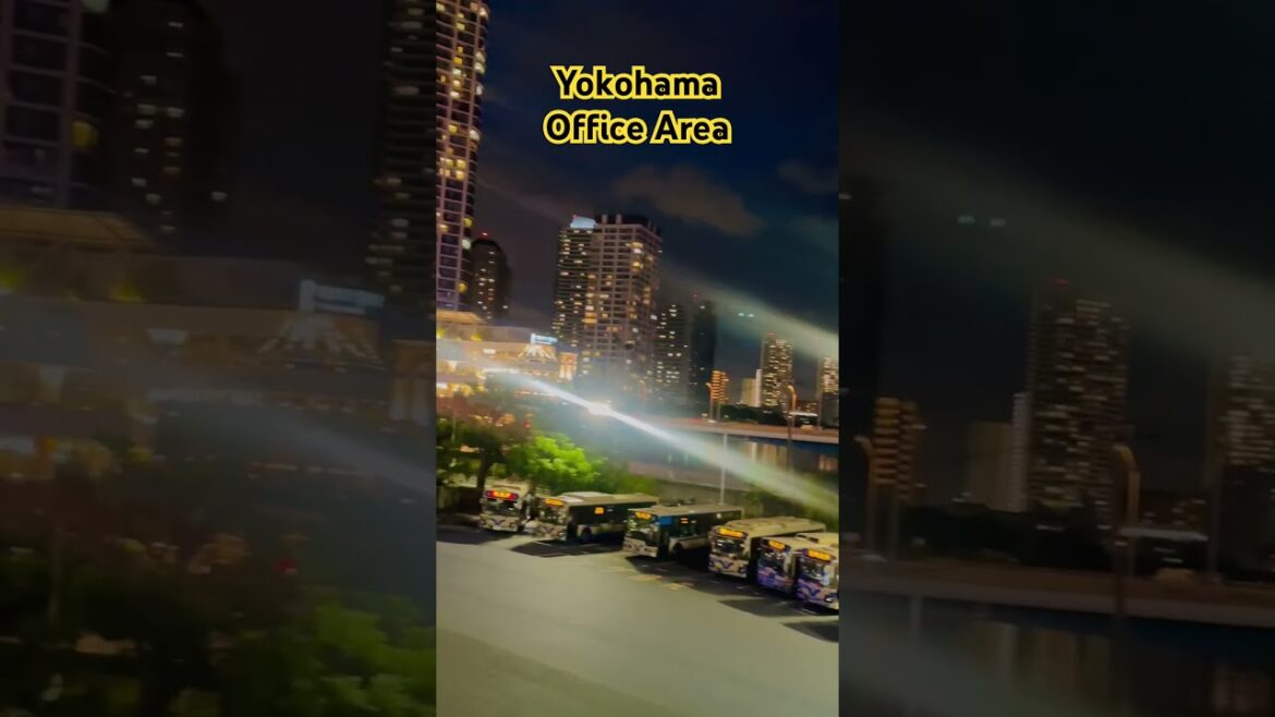 Bay Quarter Yokohama #shorts #ytshorts #yokohama #indianinjapan Bay Quarter Yokohama #shorts #ytshorts #yokohama #indianinjapan