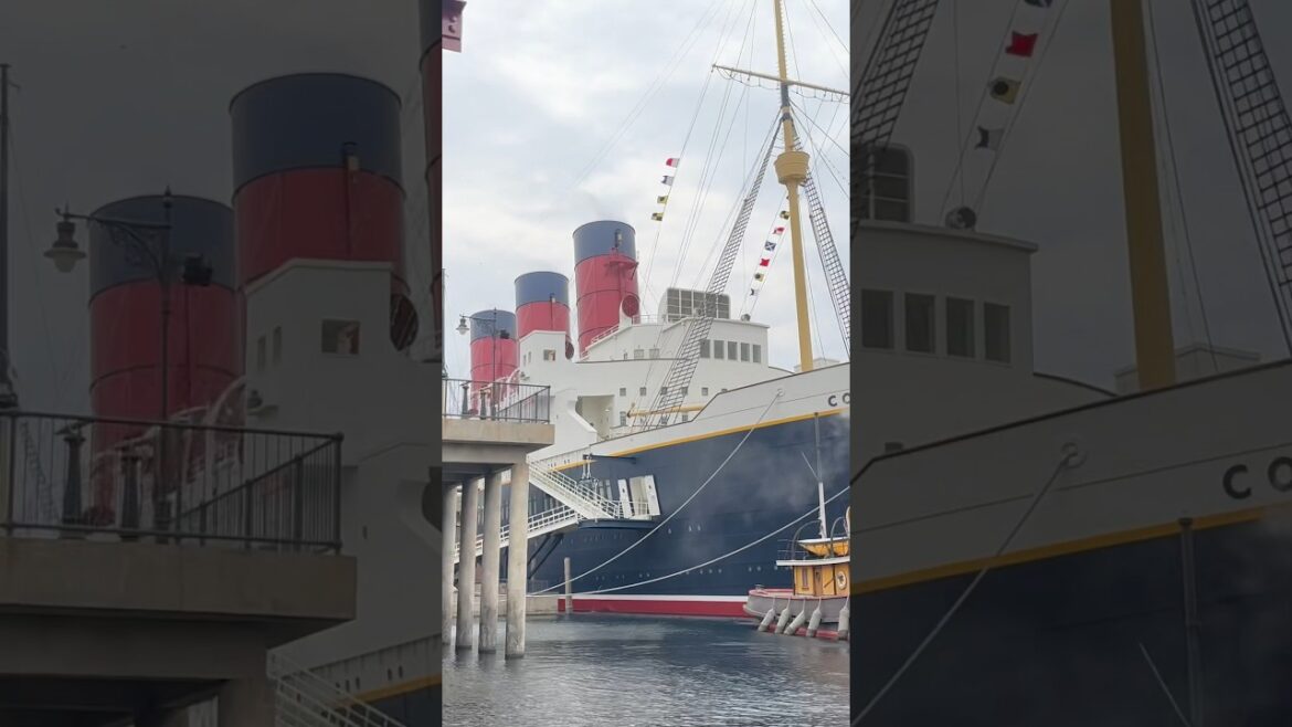 Happiest place on earth! ❤️ Disneysea #japan #disneysea #disneyseatokyo #tokyo #shorts #disney  #fyp