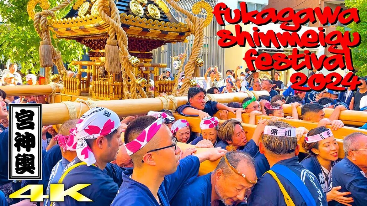差し上げます！ 深川神明宮例大祭 宮神輿巡幸 2024 Fukagawa Shinmeigu Festival  常盤２丁目スペシャル！日本の祭り 4K