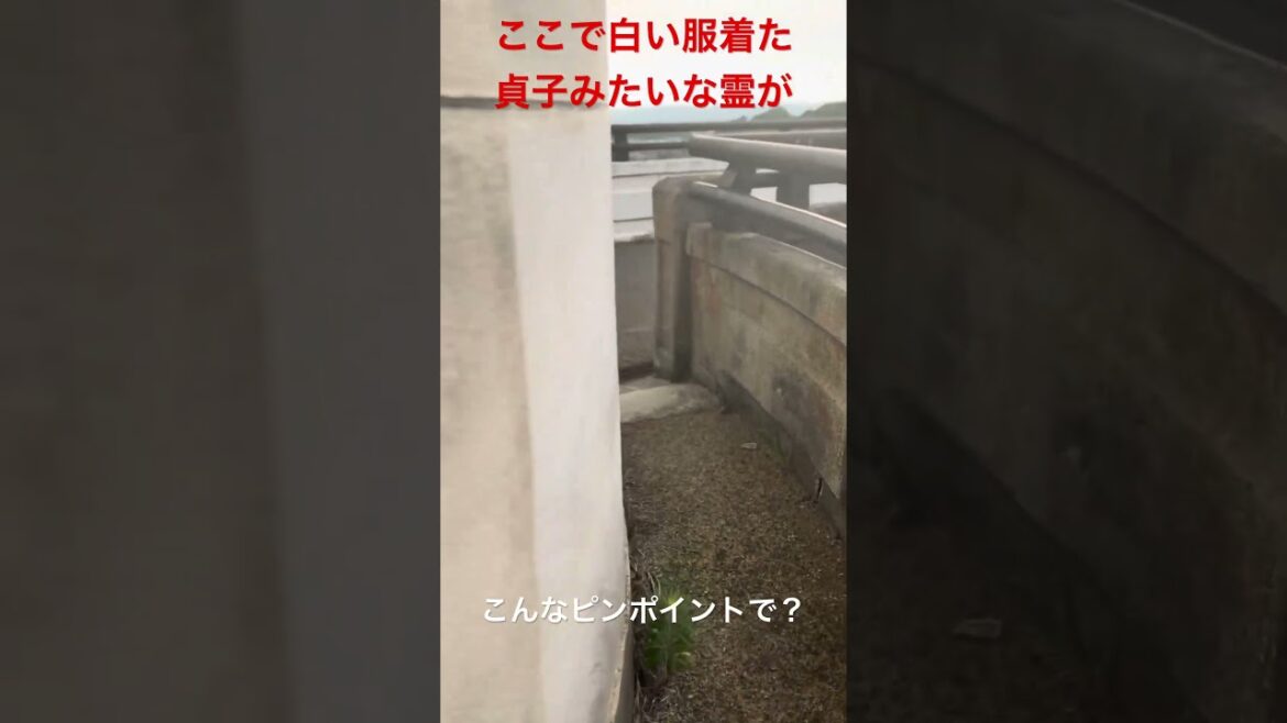 北九州の心霊スポット畑貯水池。某有名心霊YouTuberが検証してた所　#vlog #travel #散歩 #nature #心霊スポット