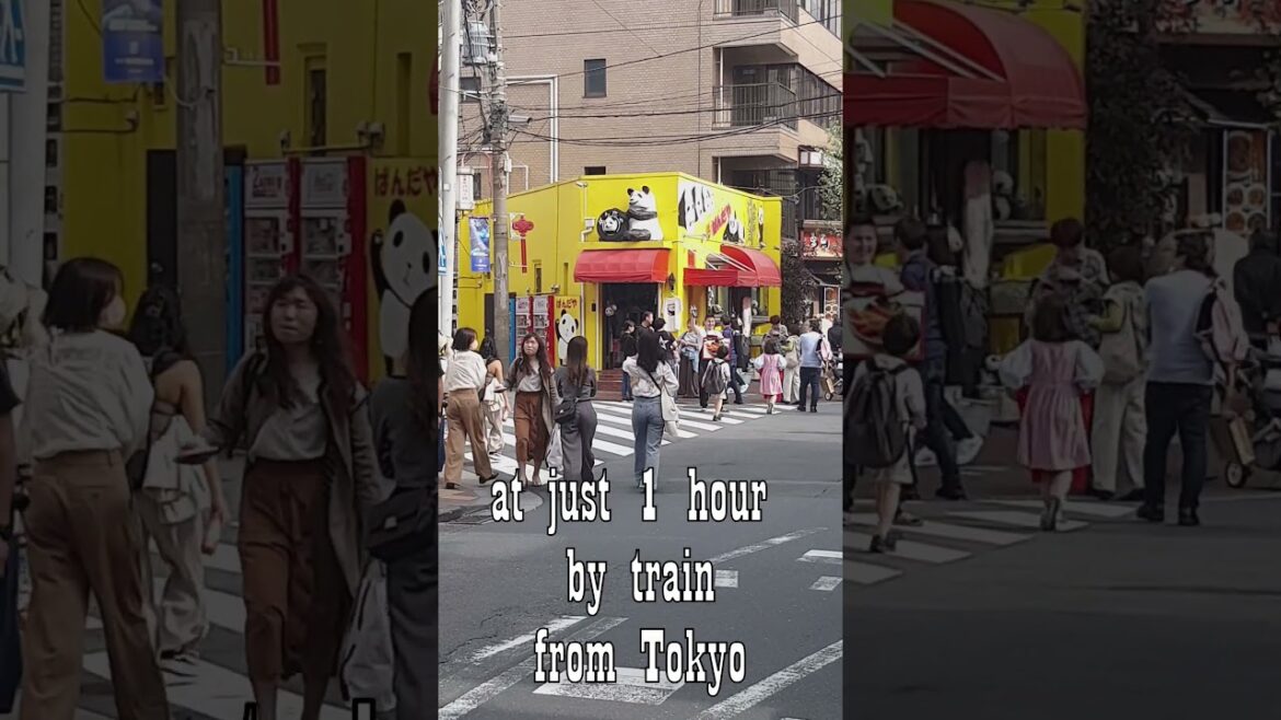 Unveiling Yokohama Chinatown: Secrets & Hidden Gems in Japan Unveiling Yokohama Chinatown: Secrets & Hidden Gems in Japan