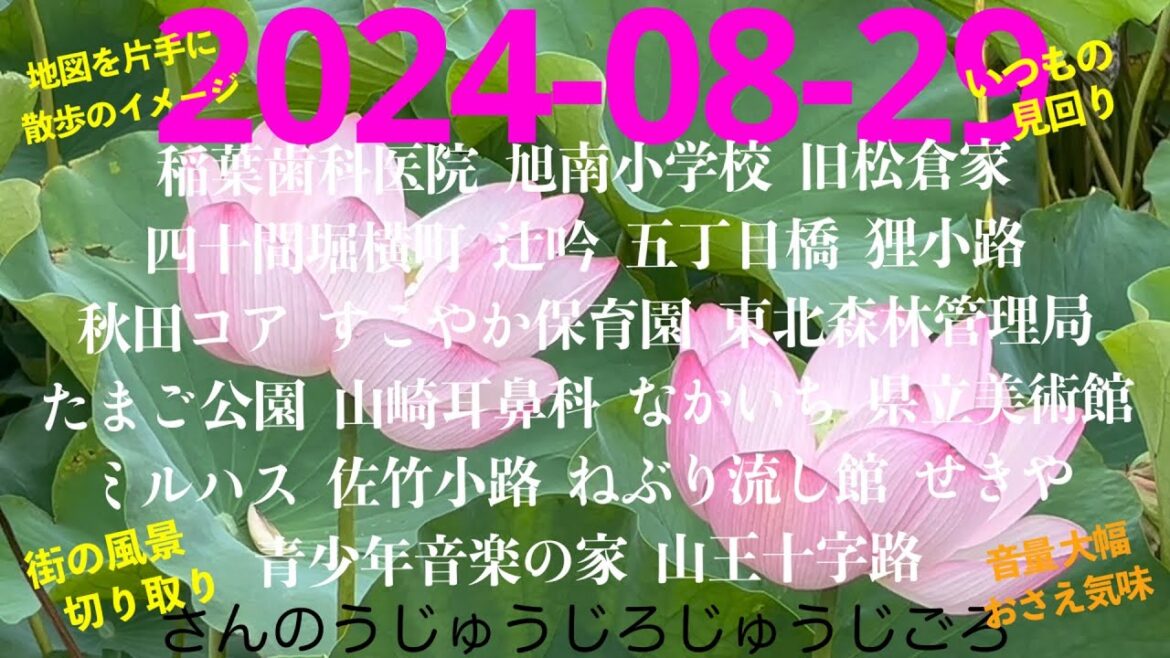 2024-08-29さんのうじゅうじろじゅうじごろ