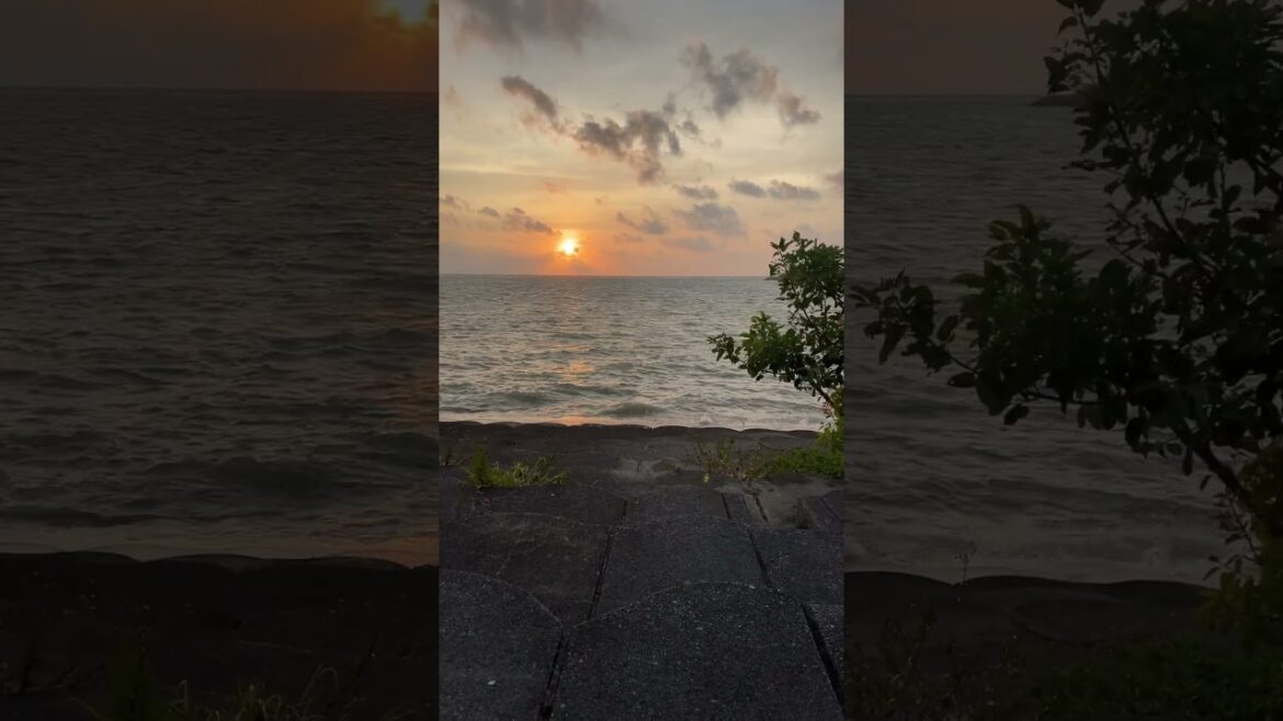 Natural Wind/wave sound- okinawa #nature #tourism