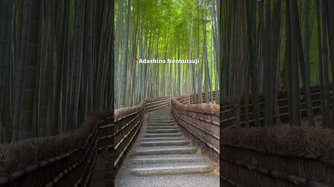 Arashiyama off the beaten track