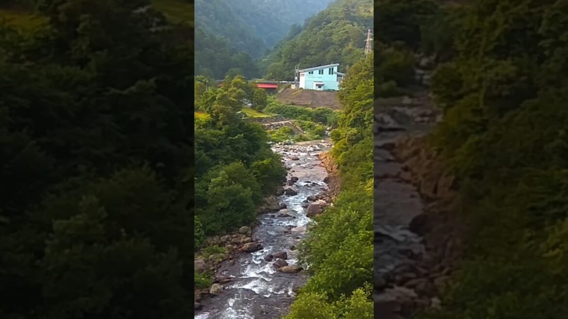 Waterfall at Rural Japan #iuj #niigata #summer #shorts