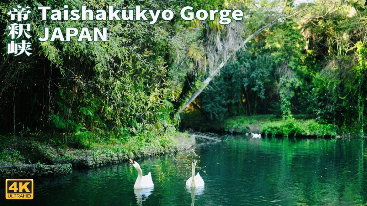 Taishakukyo Gorge | Travelling in Japan | Natural Landscape | Hiroshima | Boat Tour | 4K HD 60fps Taishakukyo Gorge | Travelling in Japan | Natural Landscape | Hiroshima | Boat Tour | 4K HD 60fps