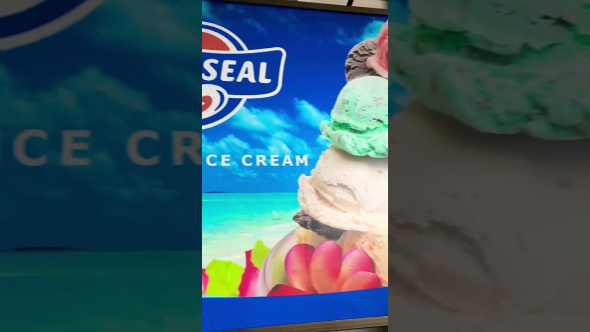 SHOW ME×GALA湯沢 愛の鐘展望台 #shorts SHOW ME×GALA湯沢 愛の鐘展望台 #shorts