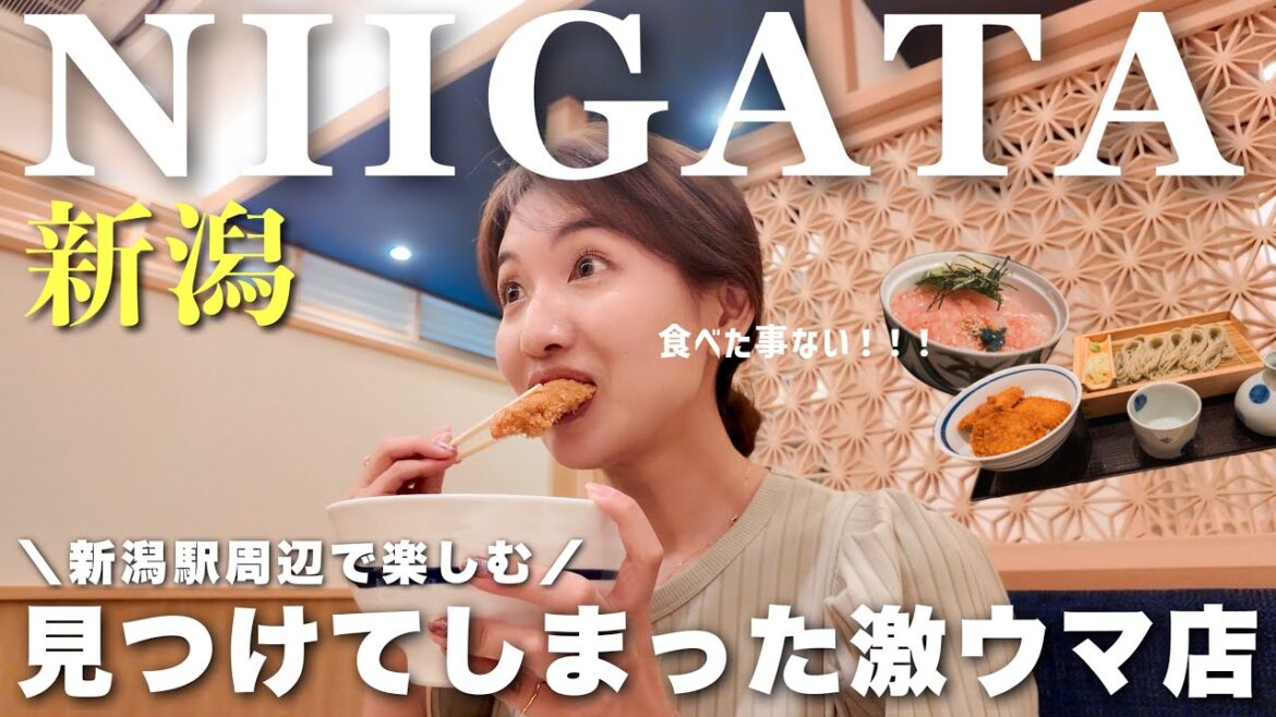 【新潟vlog】衝撃グルメ！新潟駅周辺の観光スポット＆グルメ情報＆ホテル紹介🍽️🏨長岡花火大会と佐渡島前後の過ごし方🎇