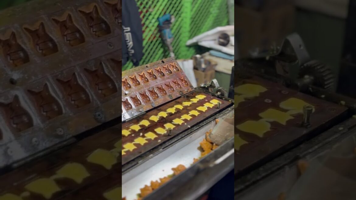 Streetfood in Japan #satisfying #streetfood #japan #foodlover