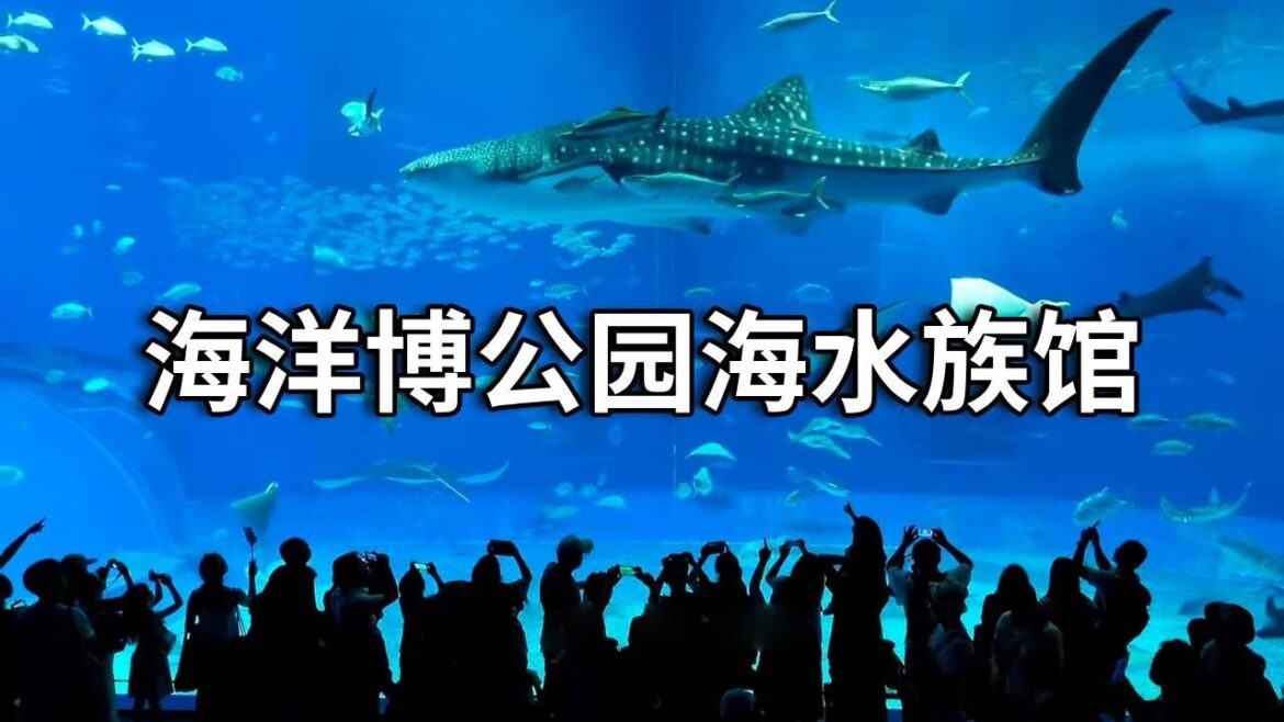 打卡海洋博公园，除了美丽海水族馆，还有漂亮的海滩【行走世界的北京老刘】