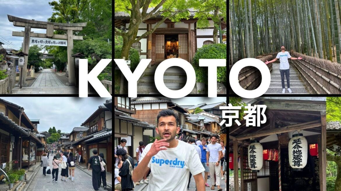 WHY KYOTO IS THE MOST VISITED PLACE IN JAPAN | Kyoto Travel Vlog WHY KYOTO IS THE MOST VISITED PLACE IN JAPAN | Kyoto Travel Vlog