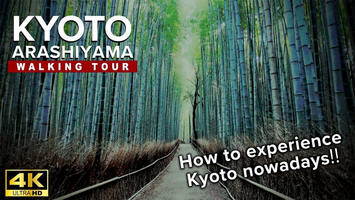 Arashiyama, Kyoto walking tour with captions 4K | japan travel: Early morning | 京都, 嵐山, 竹林の小径