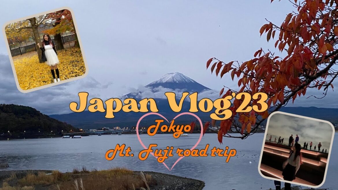 JAPAN VLOG | Autumn in Tokyo, Road trip to Mount Fuji🗻