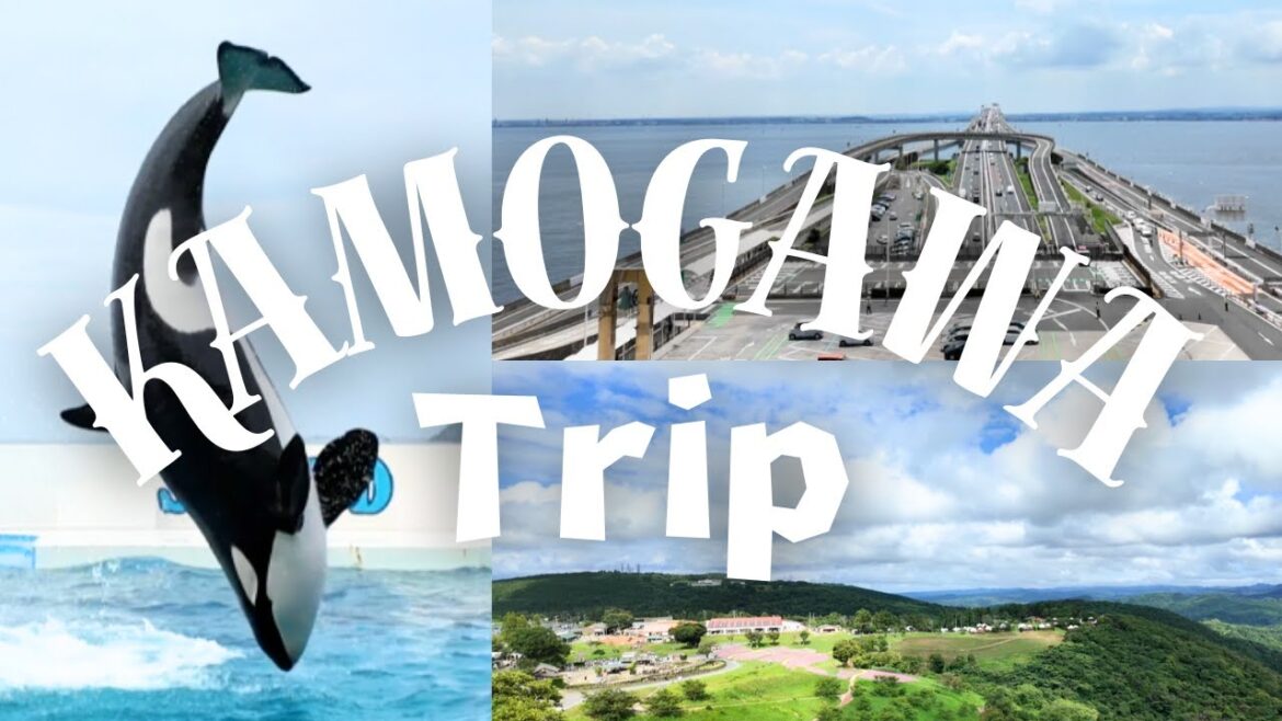 【English Vlog】Orca Shows! Grand Nature! A Trip in Chiba (by Car) 【English Vlog】Orca Shows! Grand Nature! A Trip in Chiba (by Car)