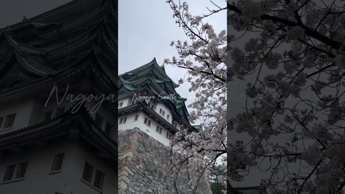 Nagoya Castle in The Rain #nagoya #nagoyajapan #japan #japantravel #asmr #asmrsounds